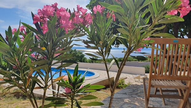 Genießen Sie die wunderschönen Pflanzen und diesen Blick 