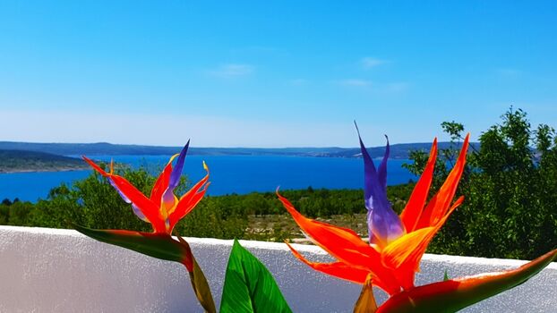 Atemberaubender Blick