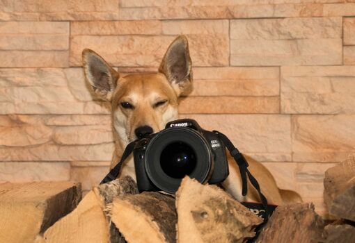 Lust auf eine Urlaubserinnerung? Shooting auf Anfrage