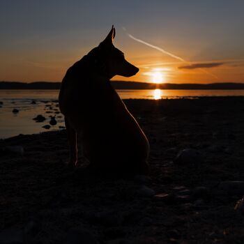 Plätze für den schönsten Sonnenuntergang gesucht? Wir helfen gerne