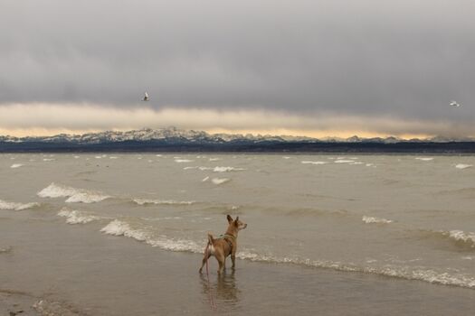 Herrliche Bergsicht in den kalten Monaten