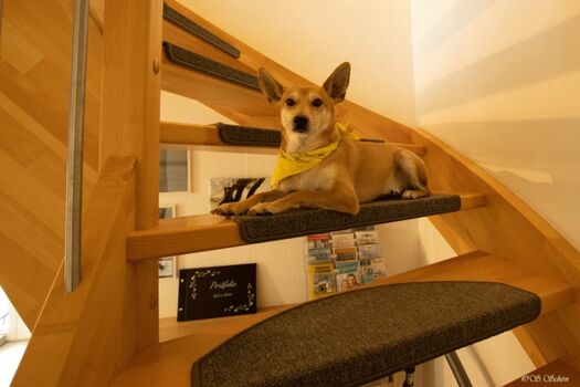 Treppe zum Schlafzimmer ist selbstverständlich mit Teppich belegt