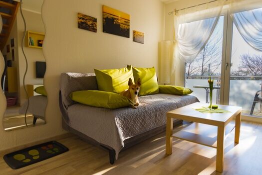 selbstverständlich darf auch der Vierbeiner (mit Decke) auf das Sofa