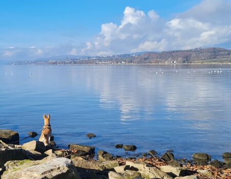 Erholung nicht nur für Zweibeiner