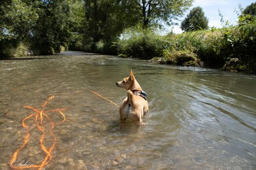 Schon mal einen Bachspaziergang gemacht? Badeschuhe nicht vergessen