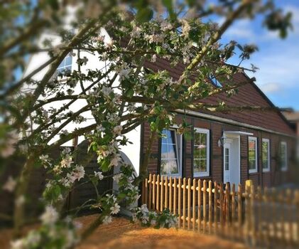 Ferienhaus DOGce Vita Frontseite