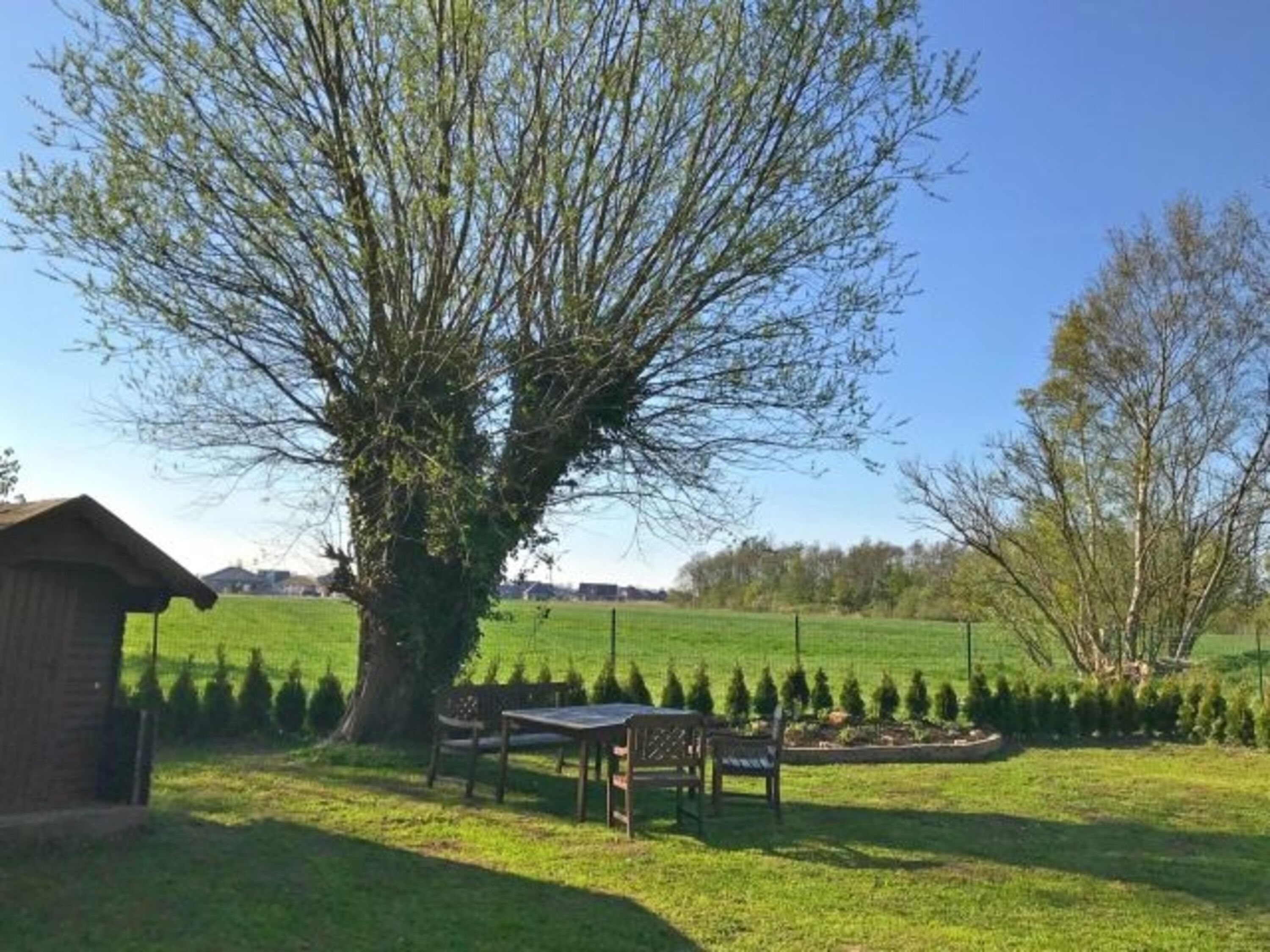 Garten-Hundefreundlich