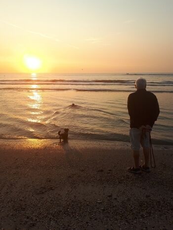 Sonnenuntergang in Petten