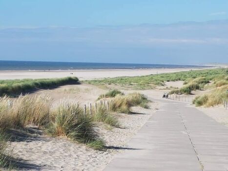 Weg zum Strand in Petten 