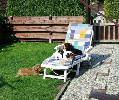Auch Hunde relaxen bei uns