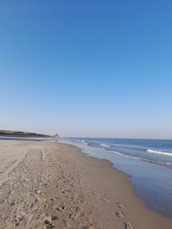 Petten endloser Strand