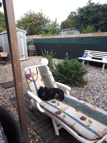 Ruheplätzchen hinterm Haus