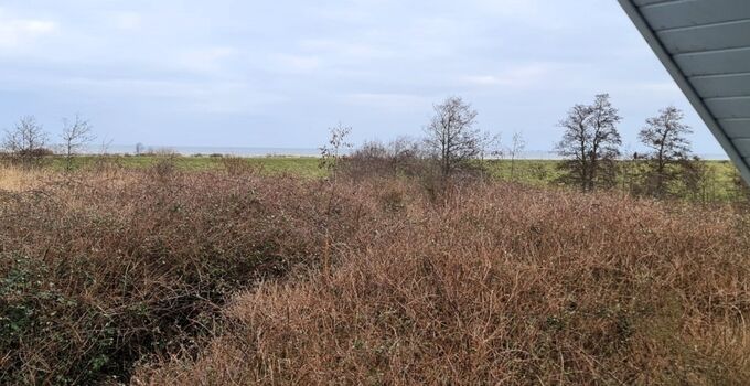 Blick von der Loggia