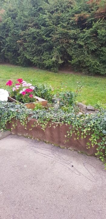 Ein Wald/Gartengrundstück ca.600qm nur für die Hundi's