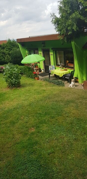 Ein Paradies für Hunde