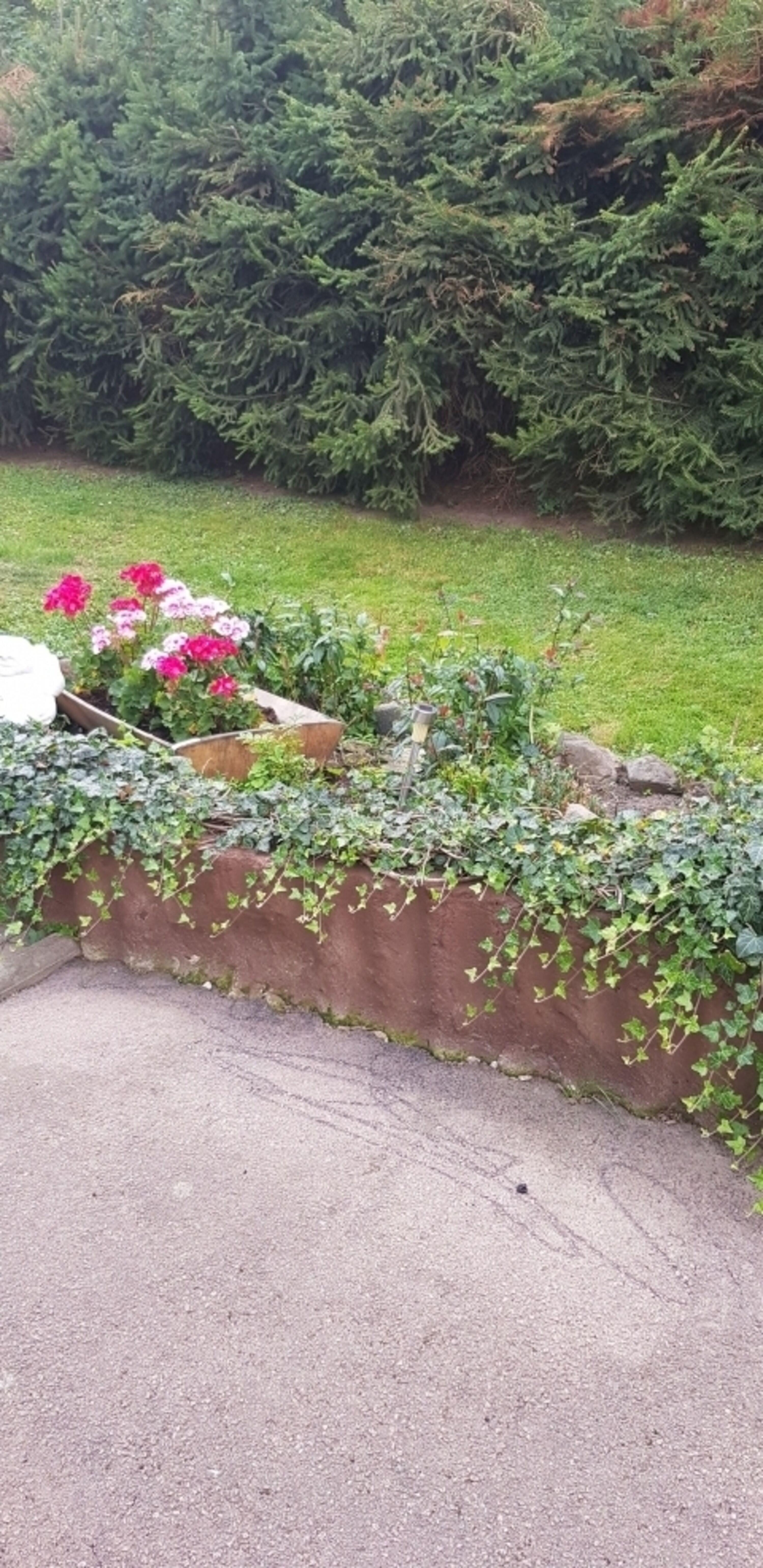 Ein Wald/Gartengrundstück ca.600qm nur für die Hundi's