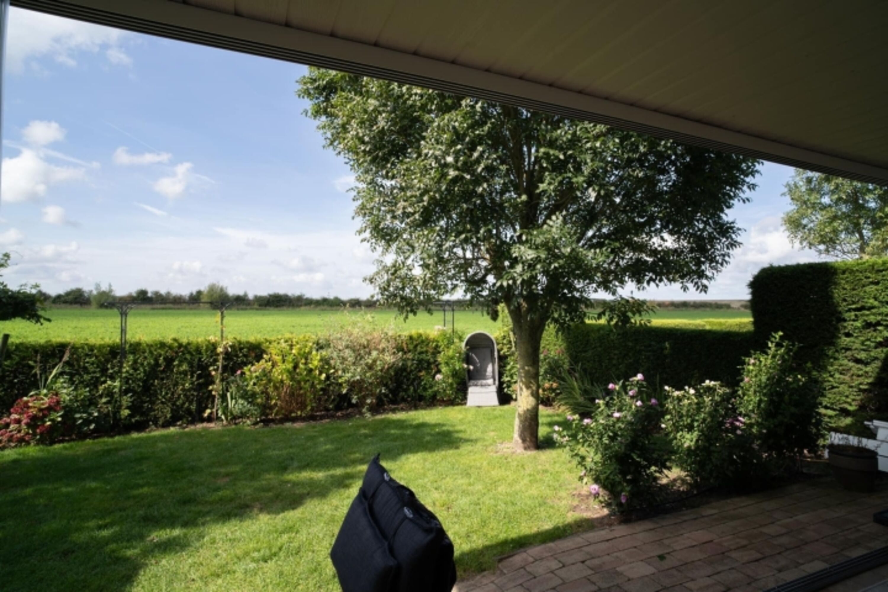 Blick in den Garten