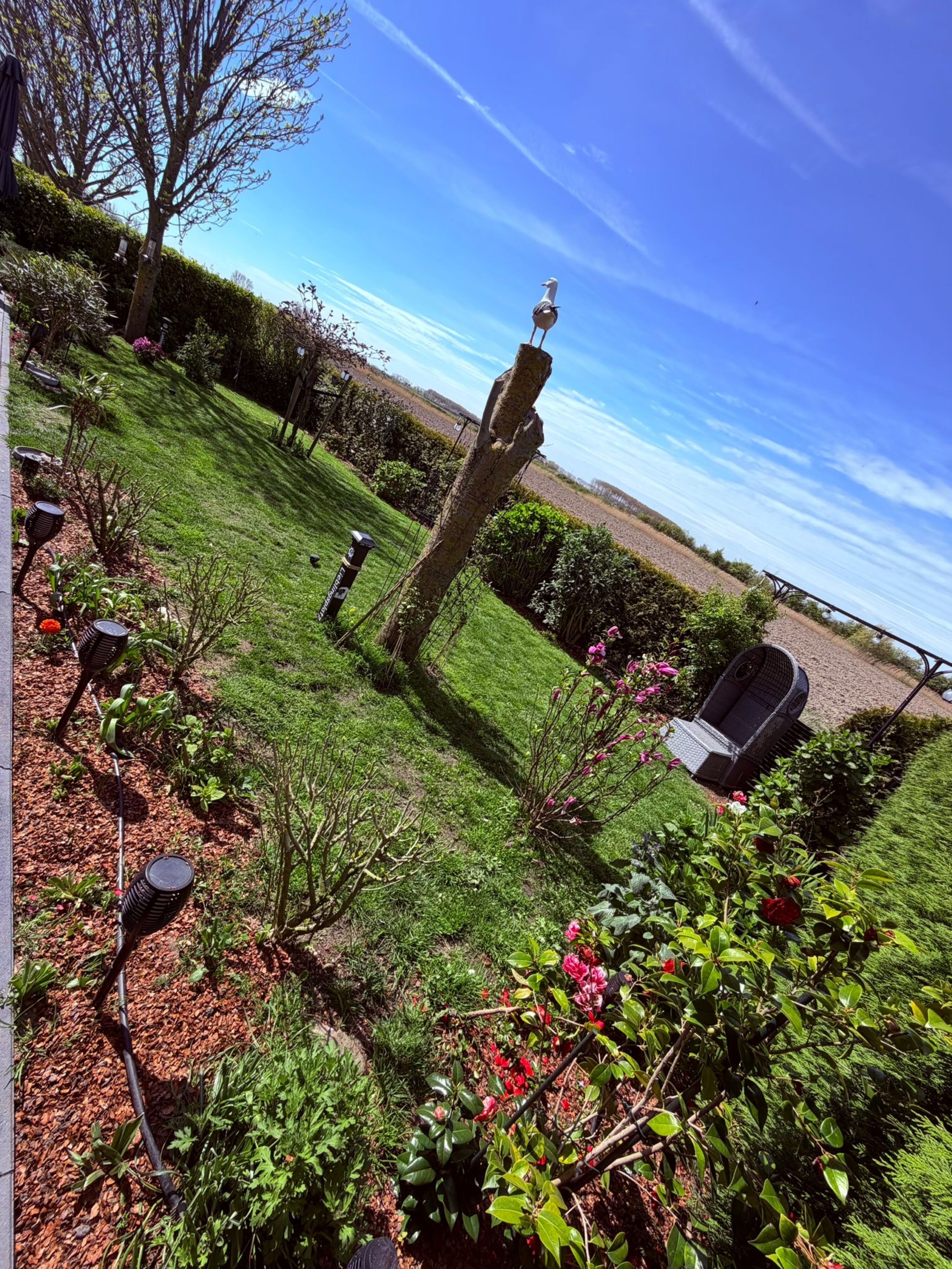 Garten im Frühjahr