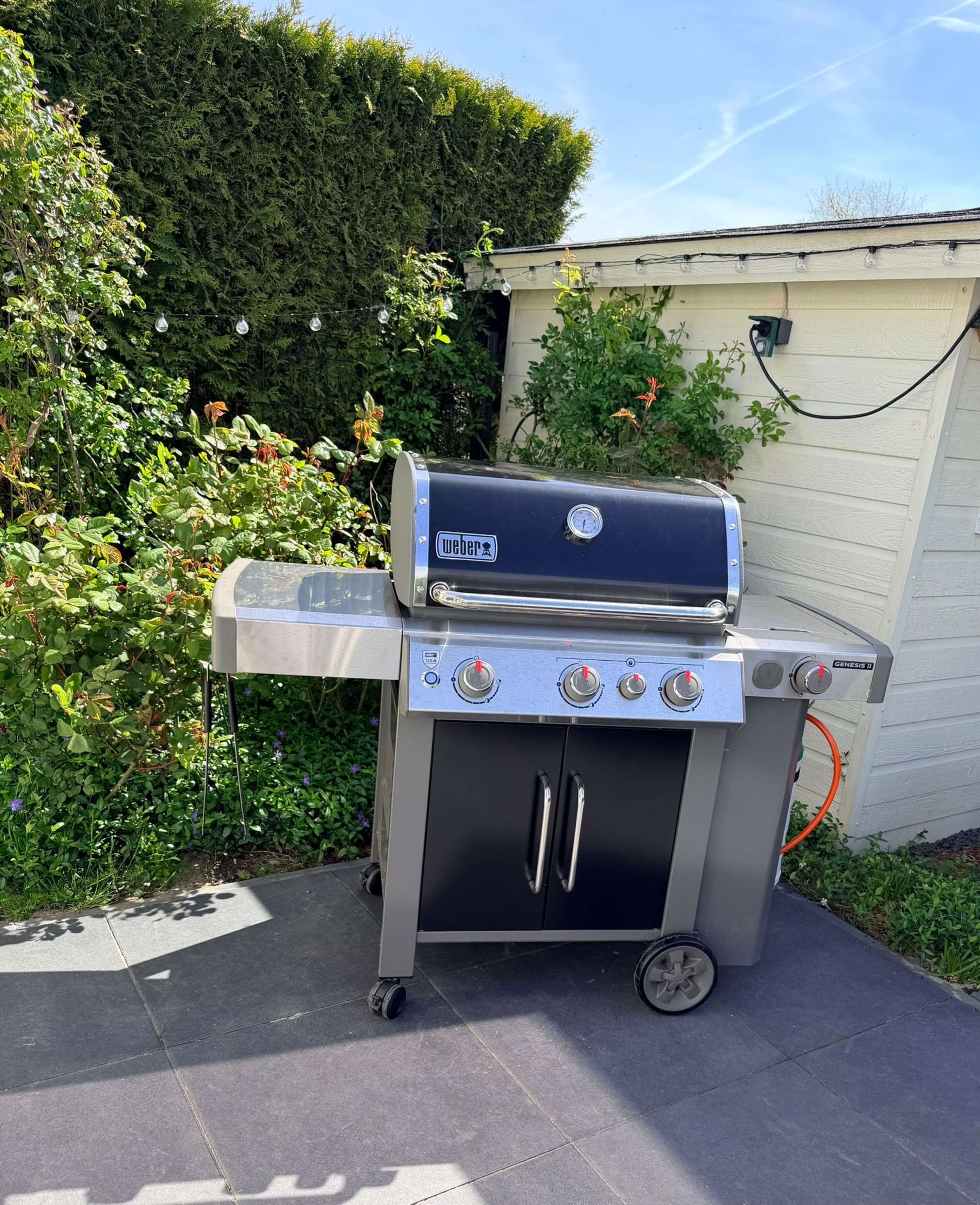 Weber-Gasgrill
