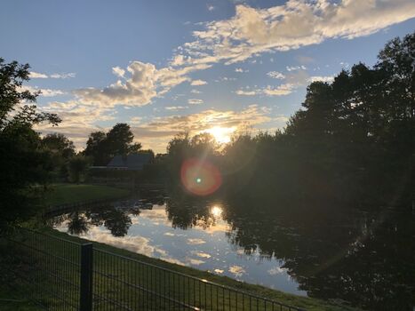 Sonnenuntergang am Teich