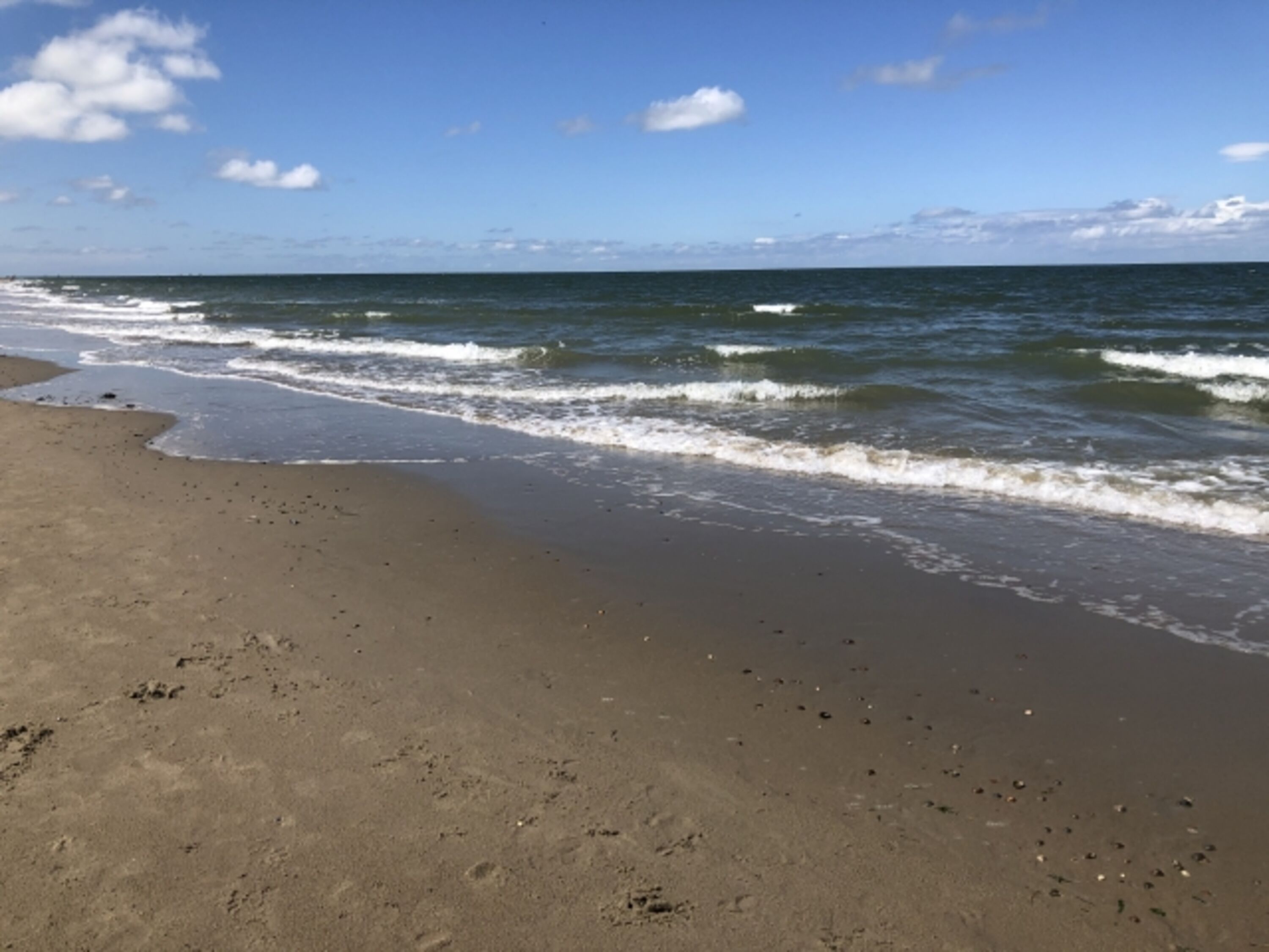 Strand Renesse