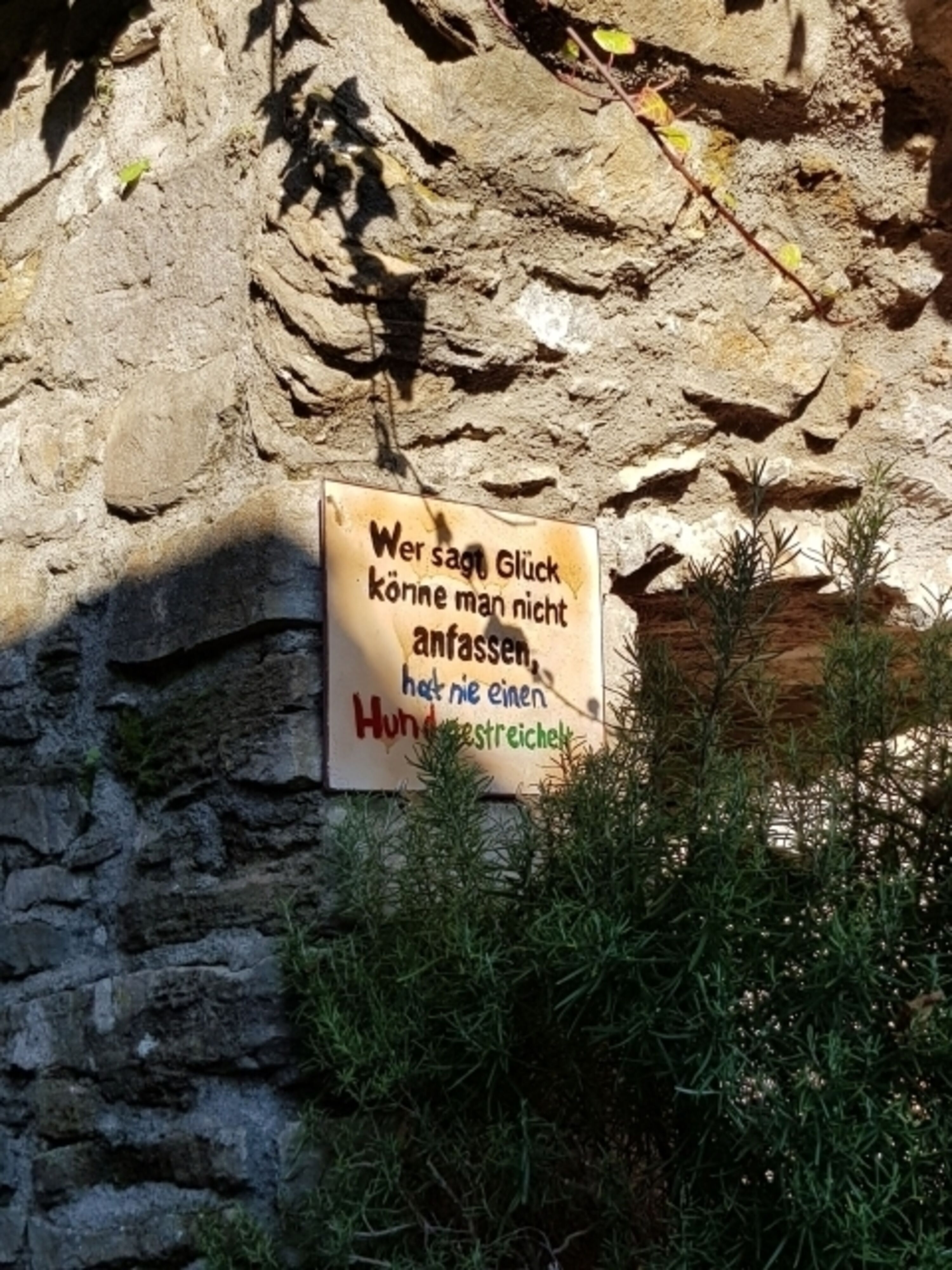 Hunde willkommen