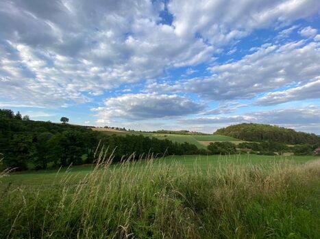 Blick vom Gartenzaun aus
