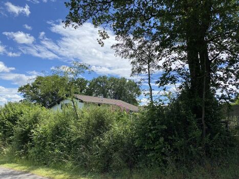 Geschützt! Blick vom Wirtschaftsweg auf die Gartenseite Haus.