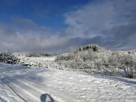 Winterblick über den Gartenzaun