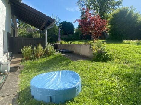 Terrasse und Hundepool