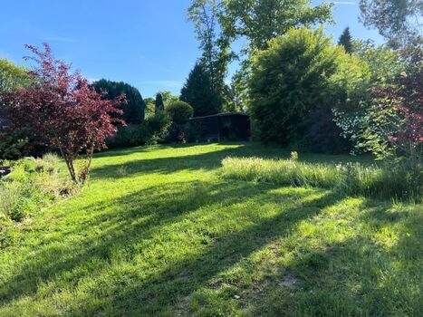 Abendstimmung im Garten