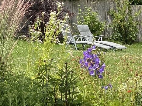 Sonnenbaden im Garten. Blickgeschützt!