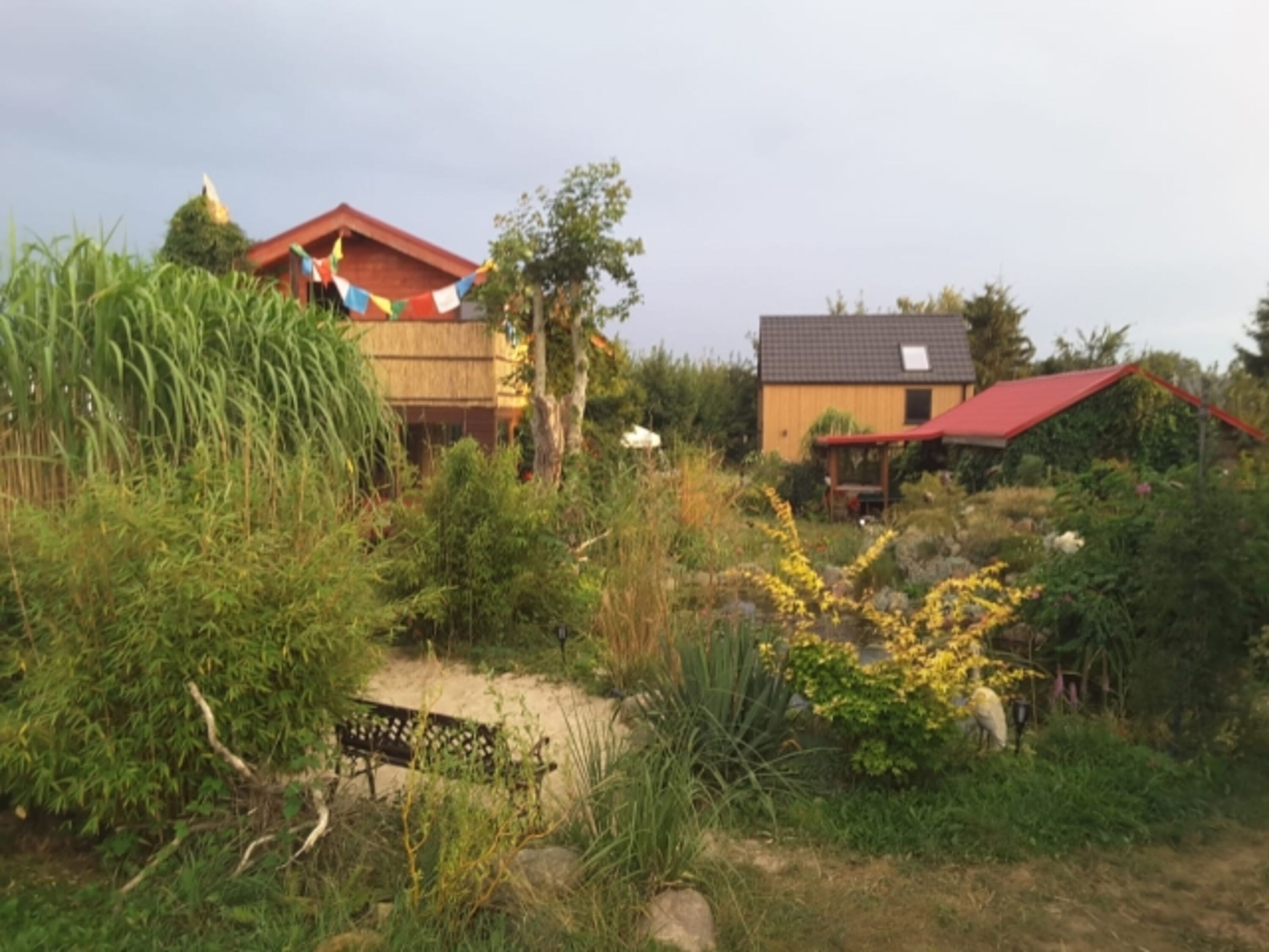 Bild 15