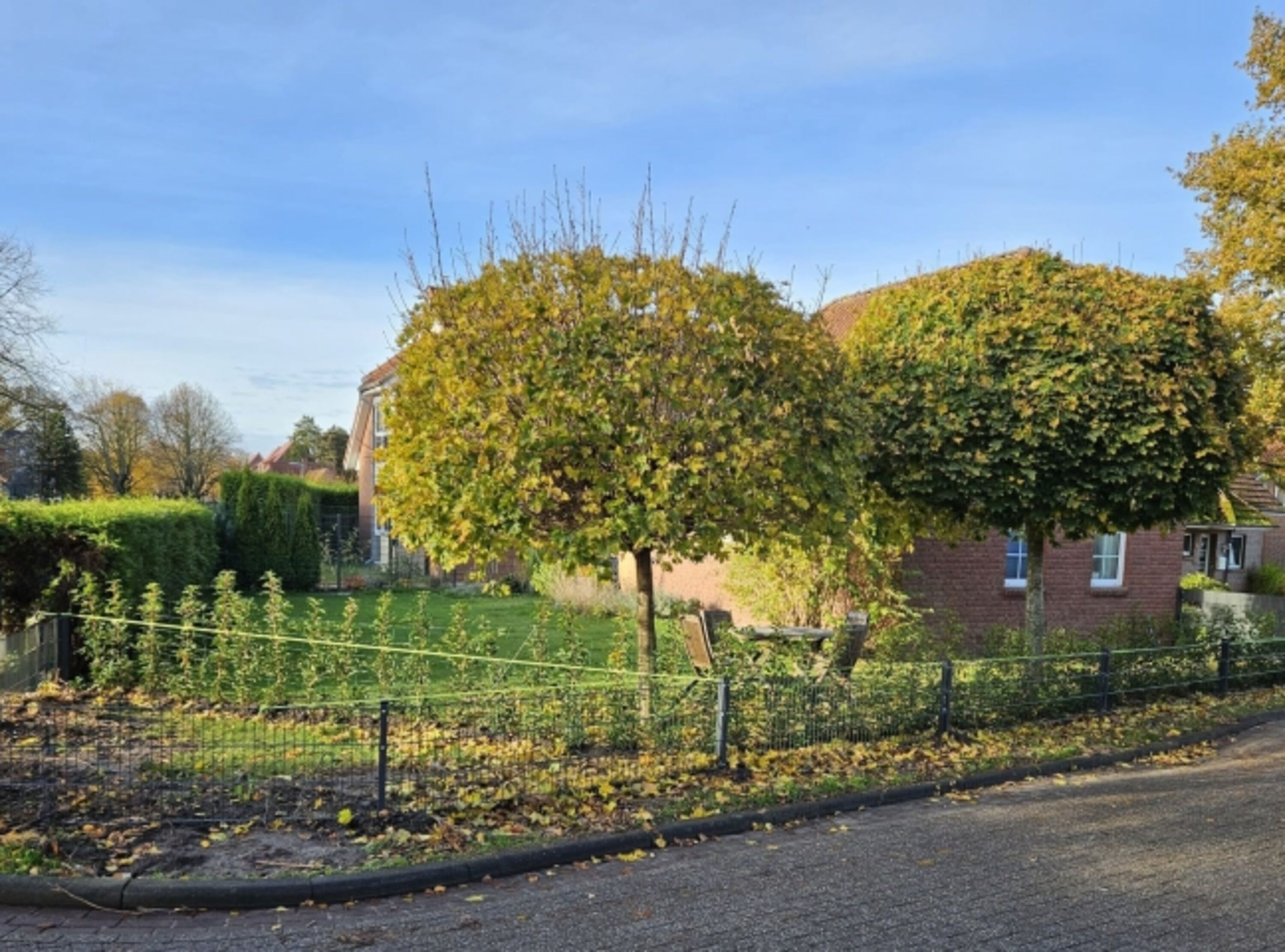 Bild 22