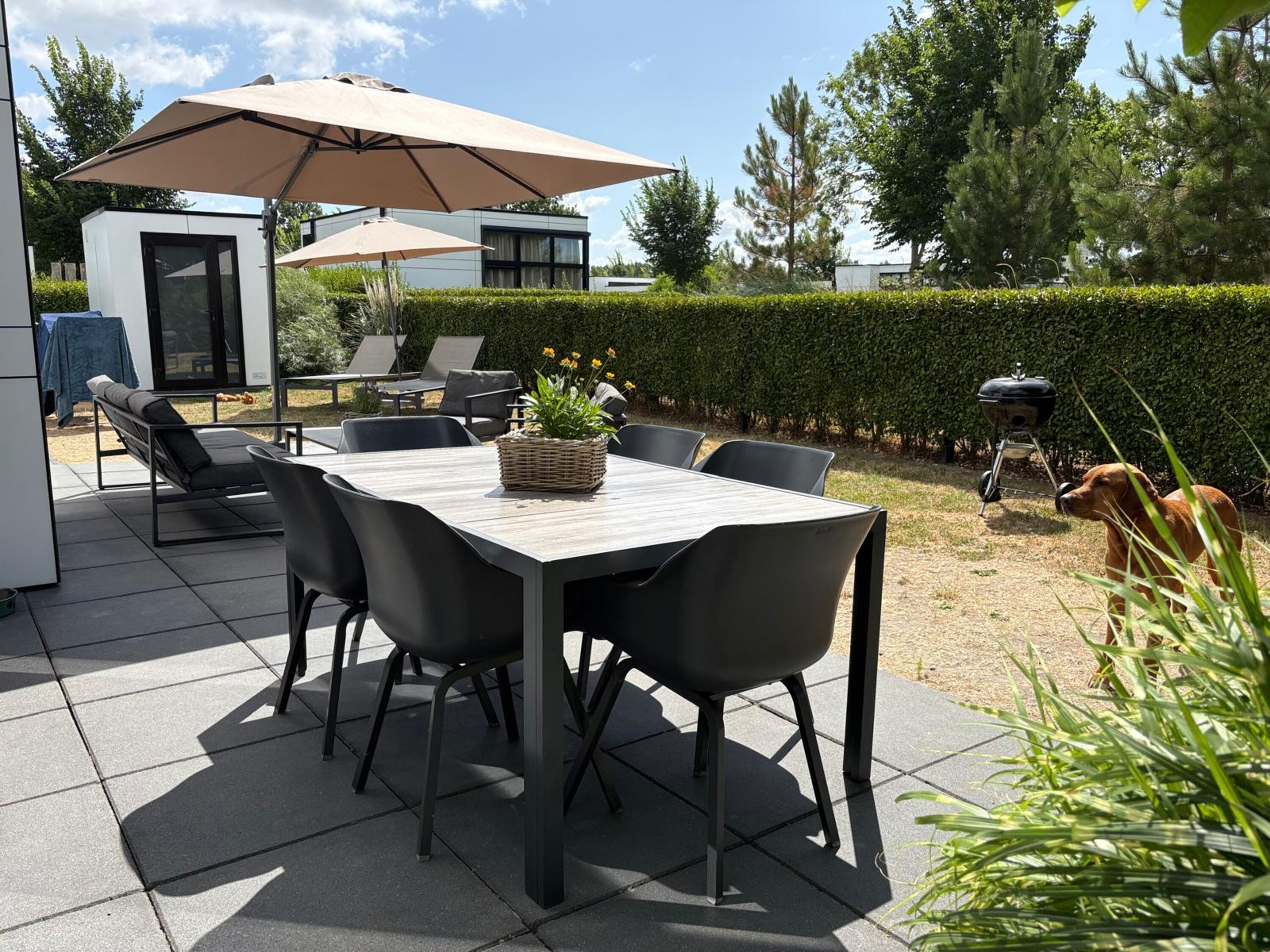 Blick in den Garten