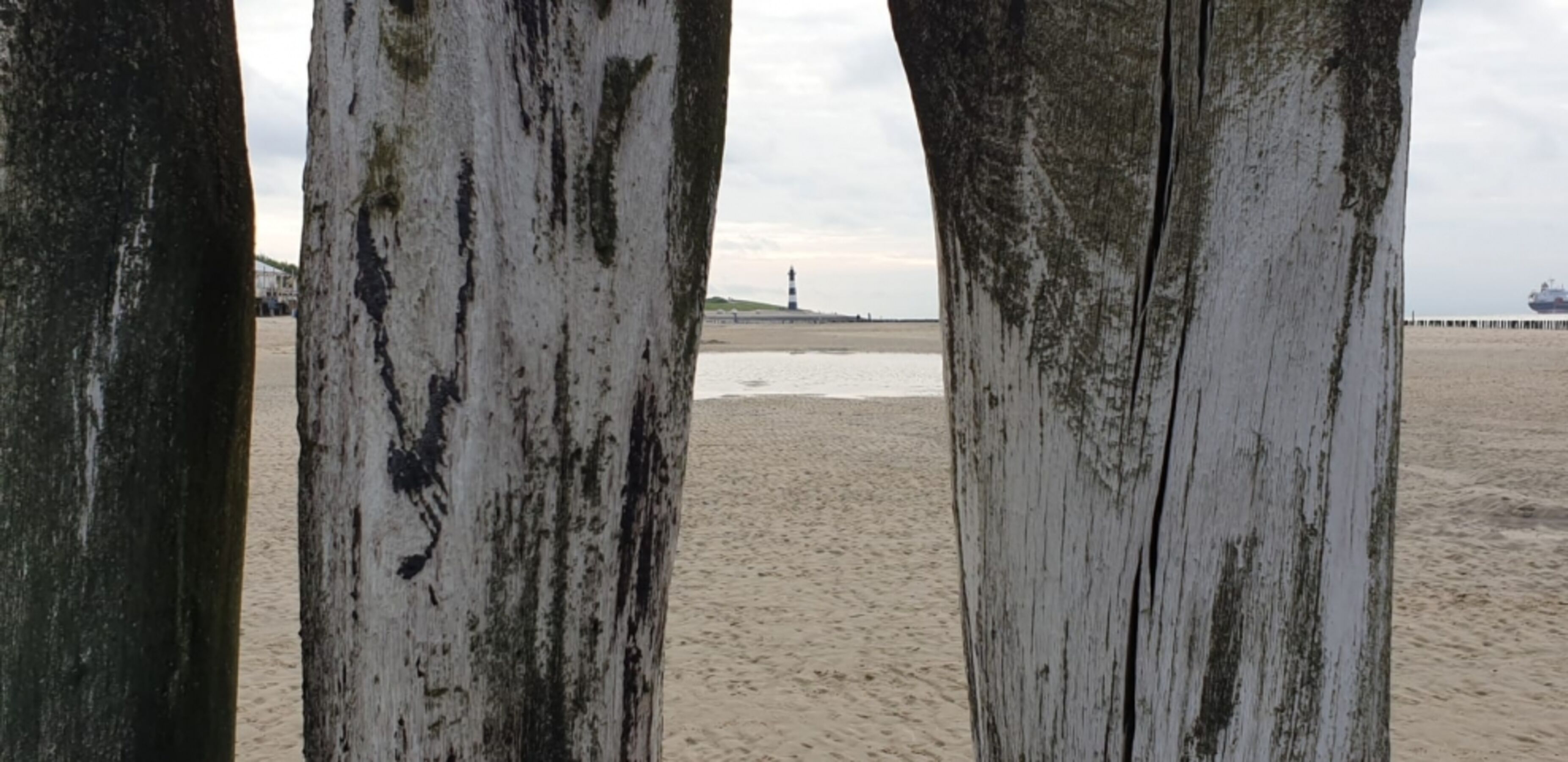 Blick zum Leuchtturm von Breskens
