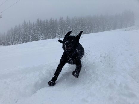 Im Winter wartet meterhoher Schnee und ganz viel Gaudi