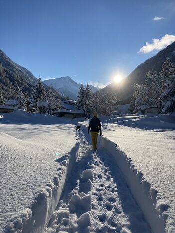 Tolle Gassirunde mit viel Schnee und Sonne