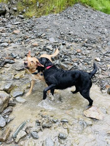 Wasserspaß im ganzen Stubaital