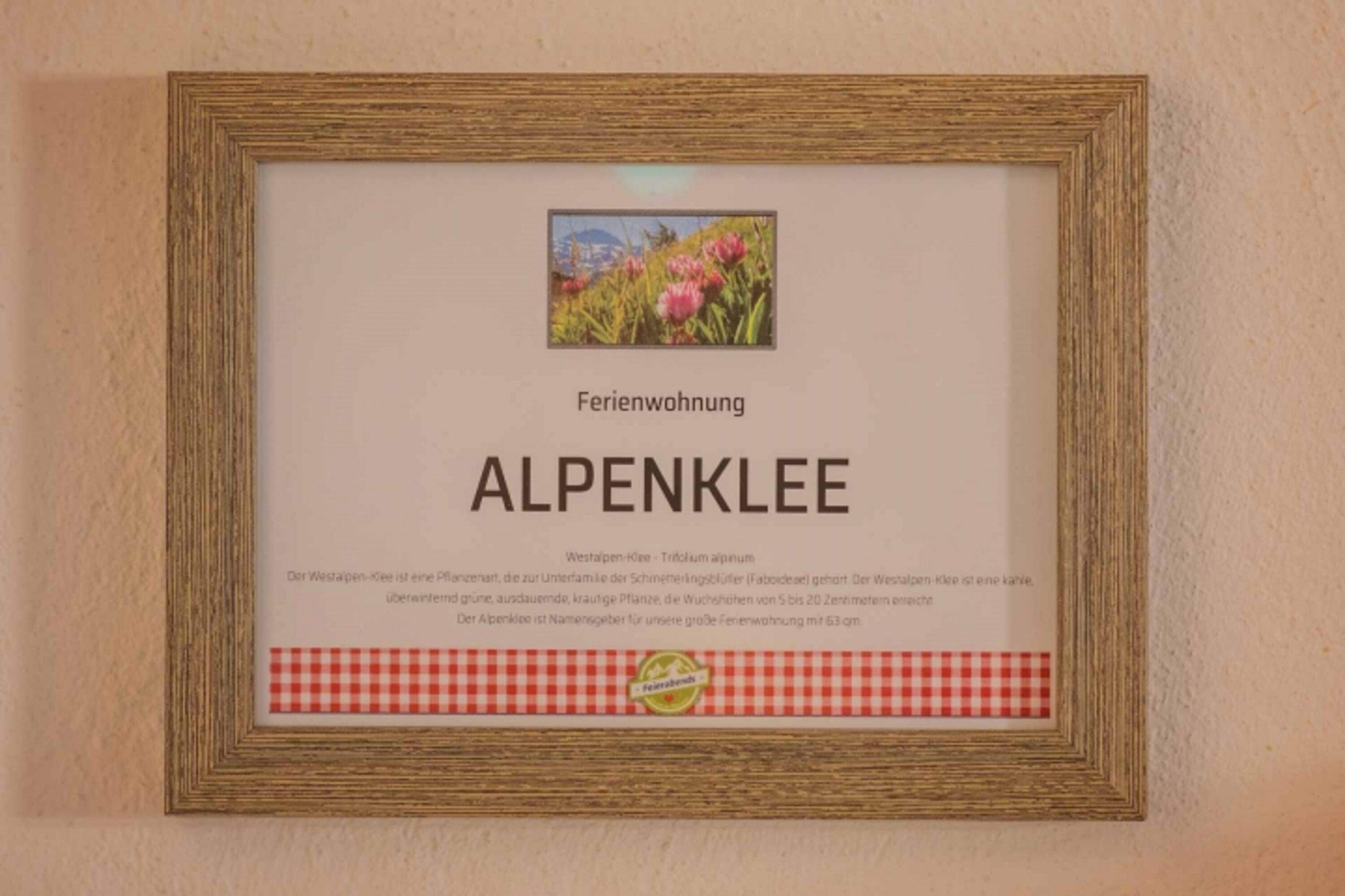 Ein tolles Urlaubszuhause 