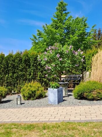 schön im eigenem Garten 