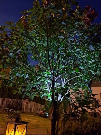 Abendstimmung  direkt vor der Tür