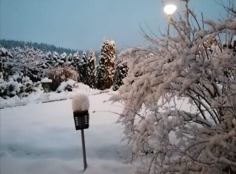 Auch im Winter hat der eigene Garten seinen Reiz