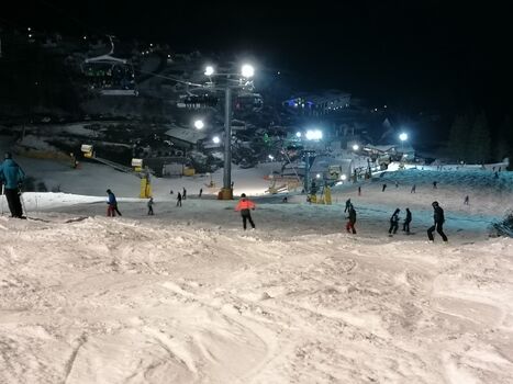 Wintersport Willingen oder Winterberg 