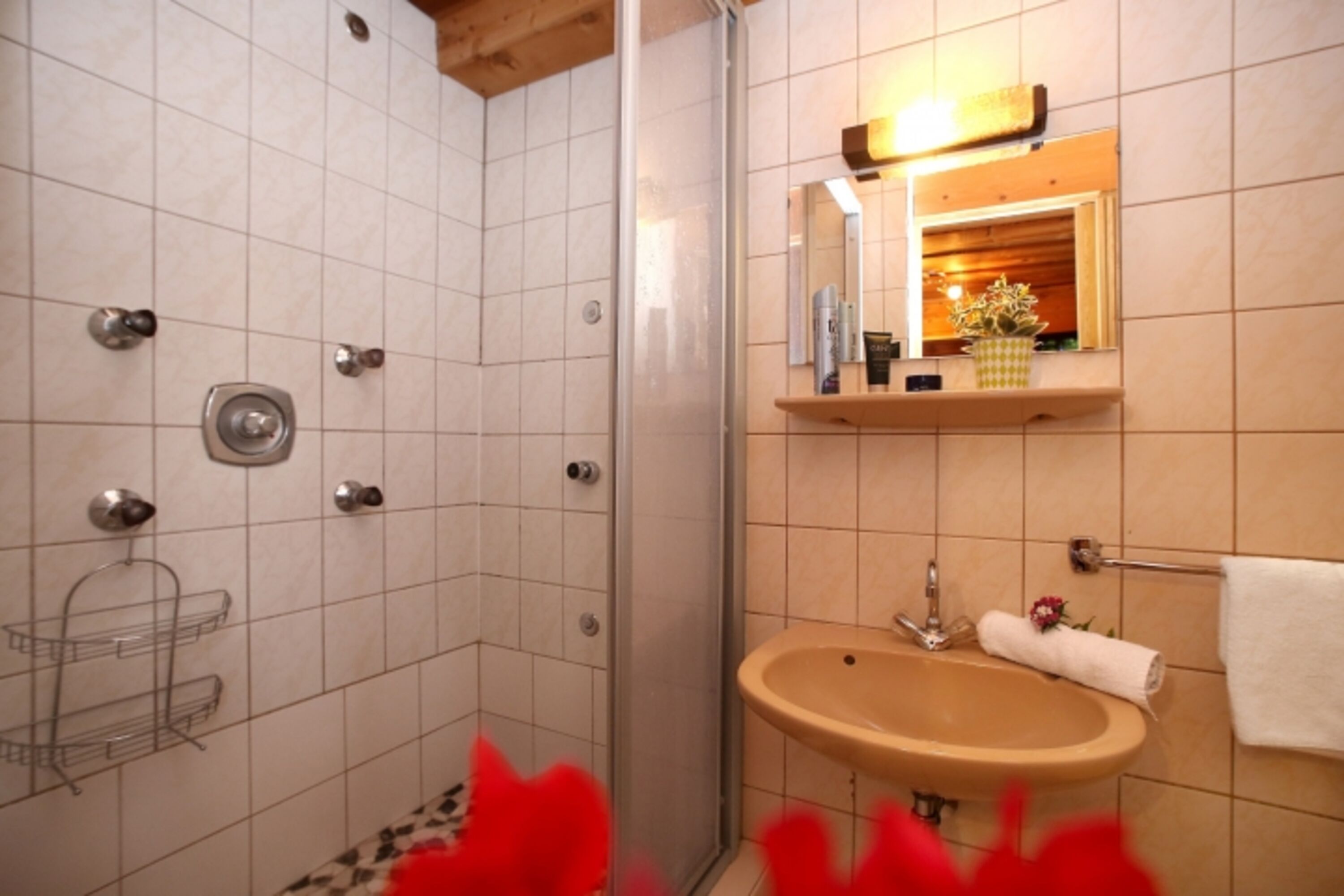 Bild 12