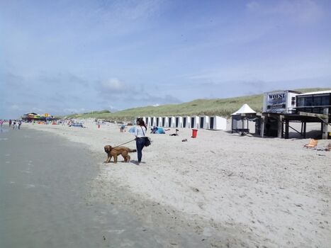 Am endlosen Hundestrand