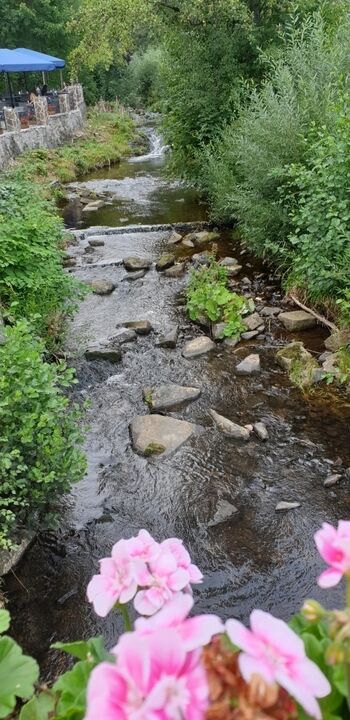 Die warme Bode, hinter dem Haus