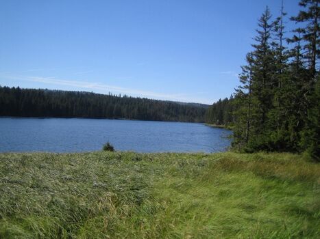 Der Oderteich - wunderbar zum Wandern