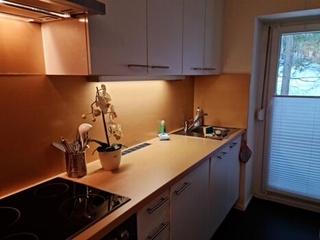 Die Küche mit allem was man braucht