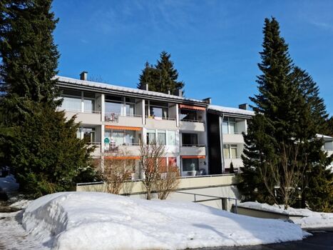 Unser Tannenhof im Winter 